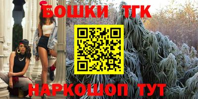 сатива Славгород