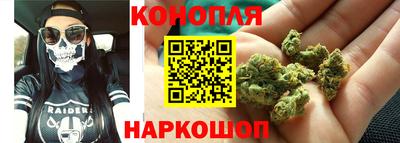 сатива Славгород