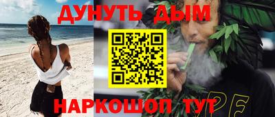сатива Славгород