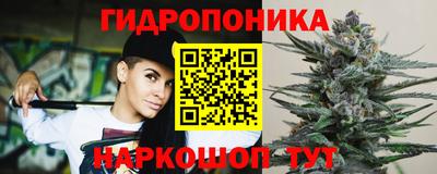сатива Славгород