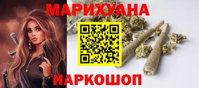 сатива Славгород